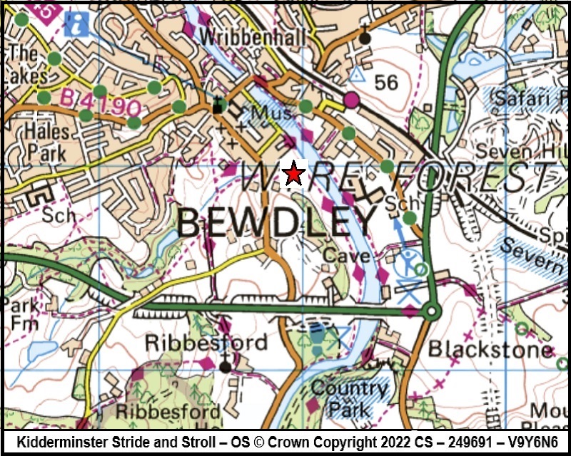 Bewdley Gardners meadow 2022